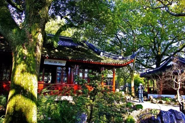 过年上海周边旅游最值得去的地方,上海假期周边旅游攻略大全