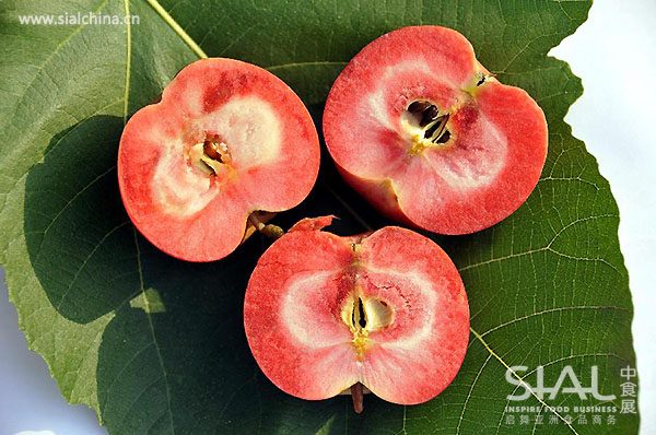 高档进口奢侈级的水果你吃过吗,哪些进口水果最畅销