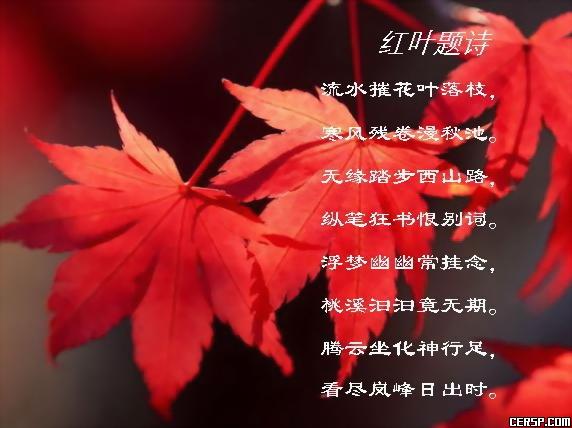 两位诗人在墙上题诗的爱情故事,红叶题诗的故事有多美