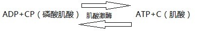 带你认识各种维生素,运动营养学常见运动营养补剂
