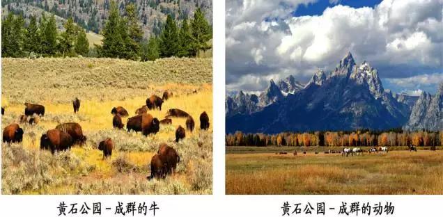 美国黄石旅游详细攻略,美国黄石公园自驾游旅游攻略