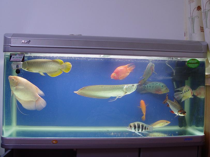 告诉你一个闷声发大财的冷门项目,利润很吓人10个冷门项目