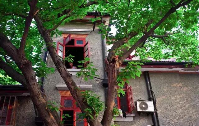 过年上海周边旅游最值得去的地方,上海假期周边旅游攻略大全