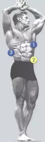 干货满满的腹肌训练教程,腹肌压箱底训练视频