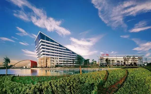 武汉这几年为什么这么火,武汉新的一年从哪开始