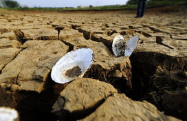 你不知道的土方法,学习土方法