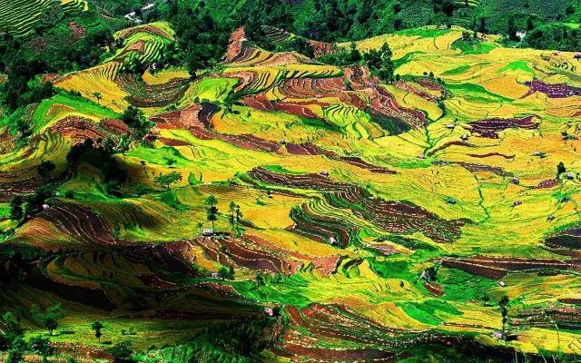 2019春运高铁云南,春节云南自驾5天最佳路线