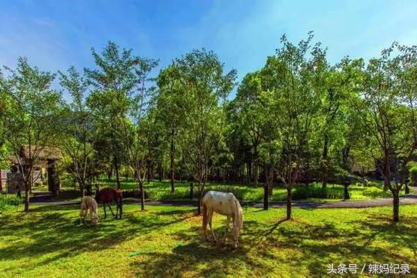 亲子酒店旅行推荐,十大必去的亲子酒店