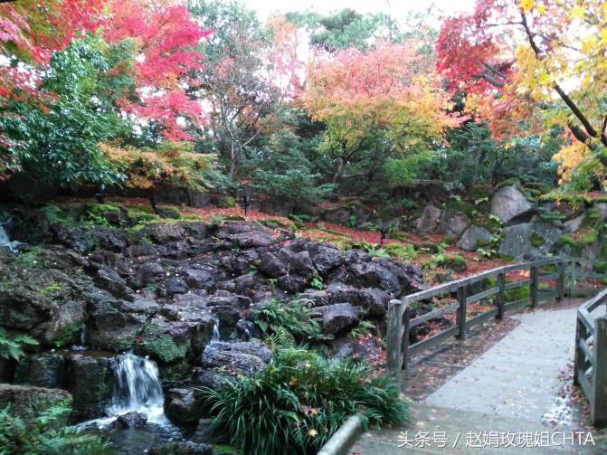 此由志园，非彼幼稚园