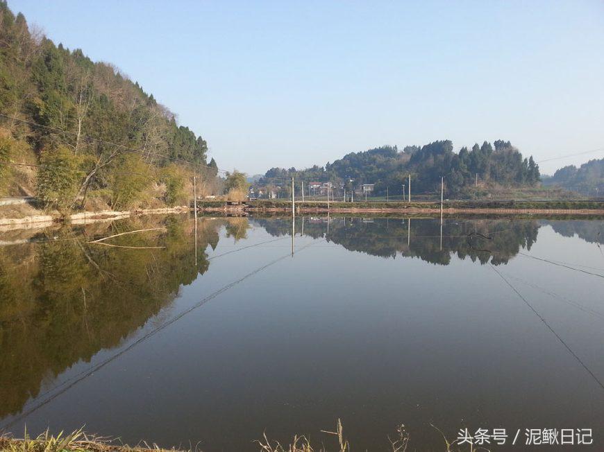 养殖创业潜规则,想创业养殖应该从何开始