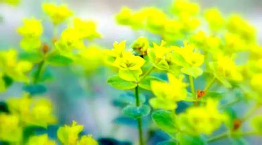 五险一金对比六险两金,七险一金比五险一金好多少