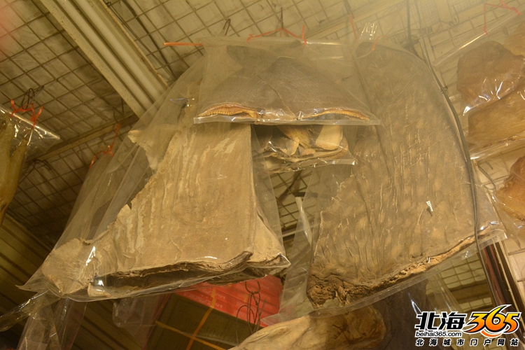 北海海鲜干货市场哪里便宜又好,北海干货海鲜市场哪里便宜