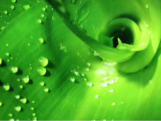 顶级hdmi品牌,高品质hdmi线