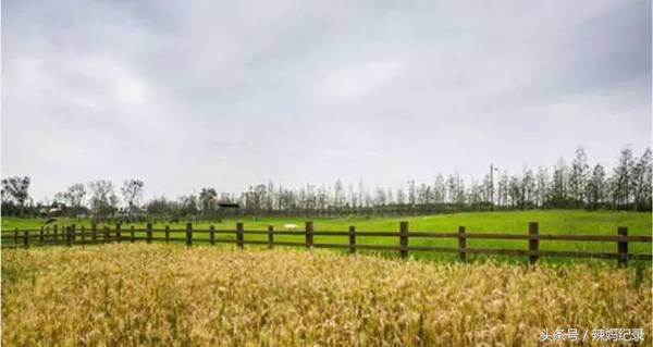 亲子酒店旅行推荐,十大必去的亲子酒店