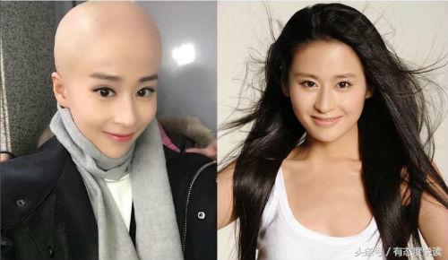 女星光头形象对比,女星光头真实照片