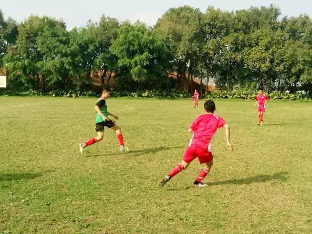 u14锦标赛,u14冠军赛赛程