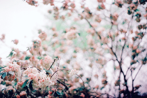 原创｜《梦里花落知多少》她说她爱他，那年青梅伴竹马