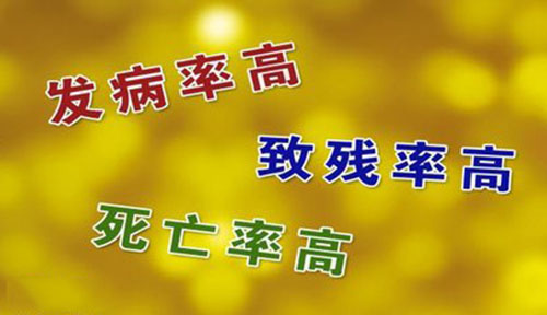 秋季养肺食物科普,预防身体疾病吃什么最好