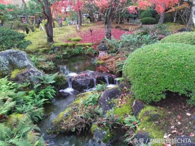 此由志园，非彼幼稚园