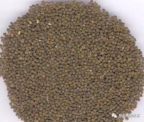 安国百花草价格,安国药草的功效和作用