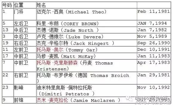 申花vs狮吼,申花布里斯班