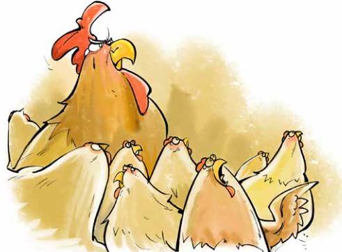 那只小母鸡，你收敛点！是你本命年也不能太过分！