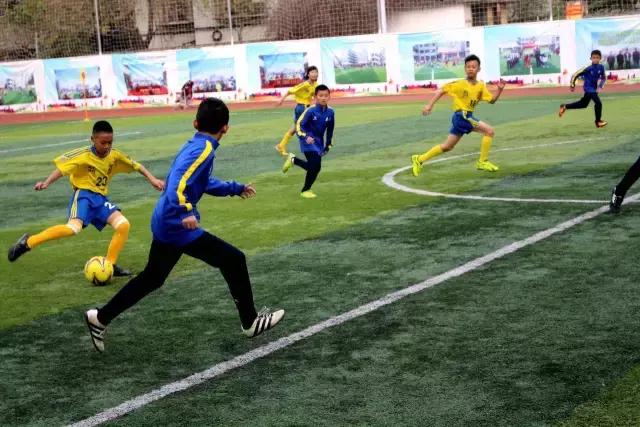 厦门青训足球联赛直播,青训厦门