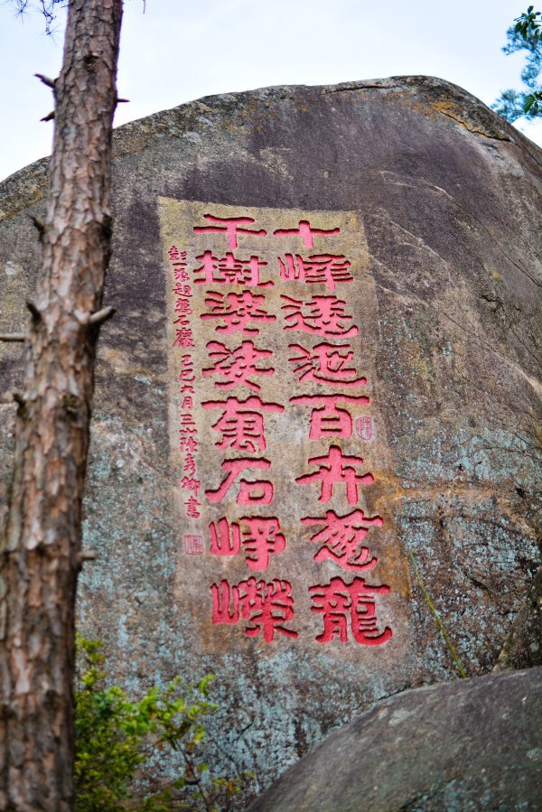 盆栽国色天香,国色天香立春