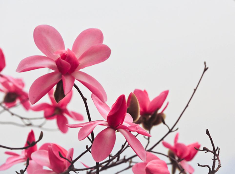 你还在用泡脚的药吗,你还在用白开水泡脚吗