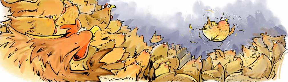 那只小母鸡，你收敛点！是你本命年也不能太过分！