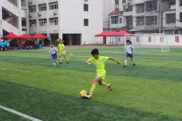 厦门青训足球联赛直播,青训厦门