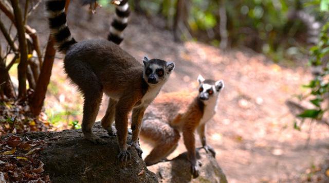 38个对中国免签的国家和地区,2022年7月份旅游值得去的免签国家