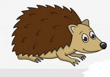 刺猬简笔画怎么画视频,刺猬简笔画手工