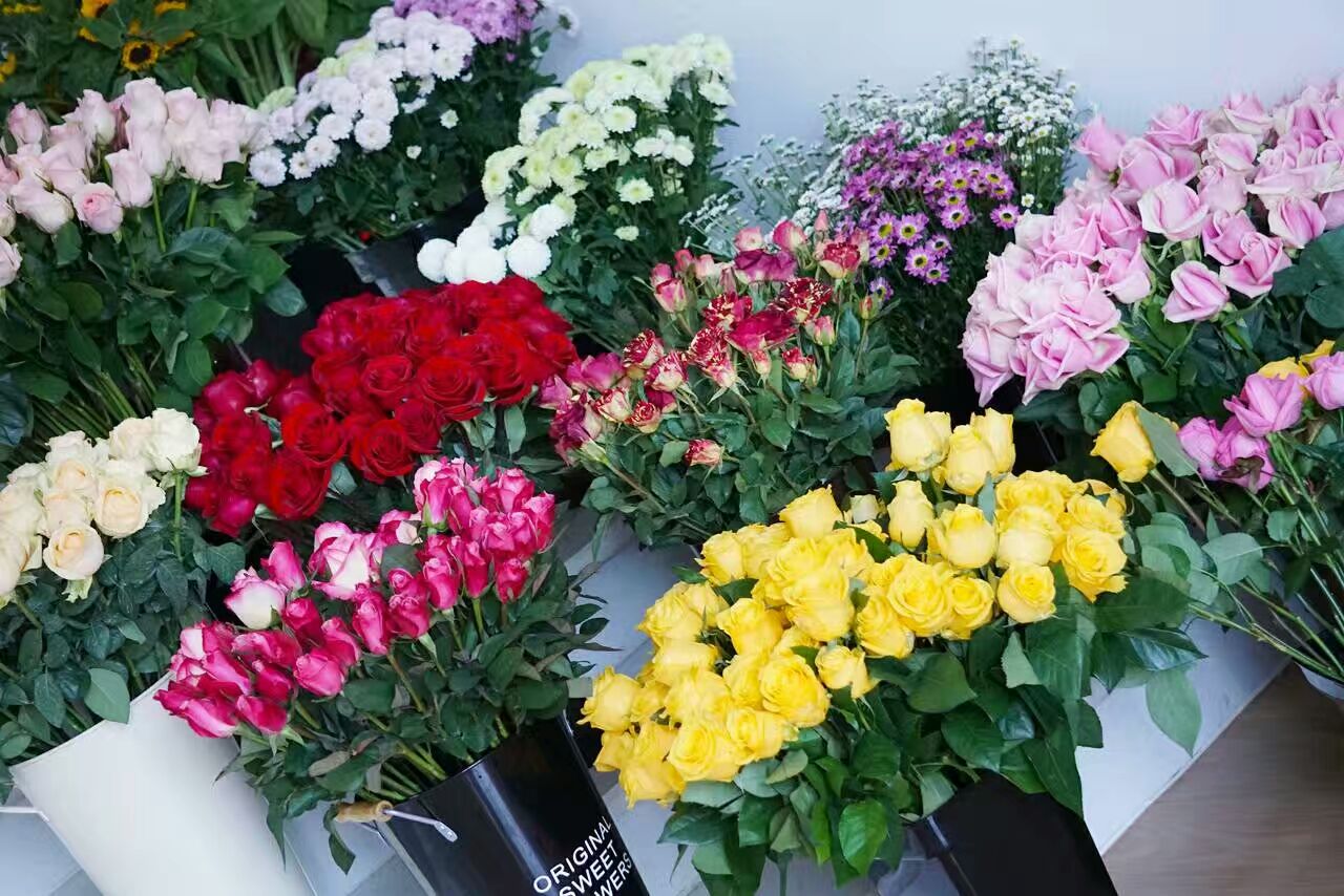 玫瑰集爱与美于一身,集爱与美于一身的玫瑰花