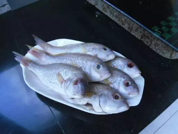 哪种海鱼炖鱼最好吃,海边渔民怎么炖鱼