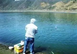 用白萝卜养红虫可以吗,土豆萝卜养红虫