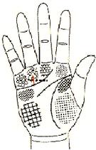 五观堂讲解手相,手相宝库第四讲