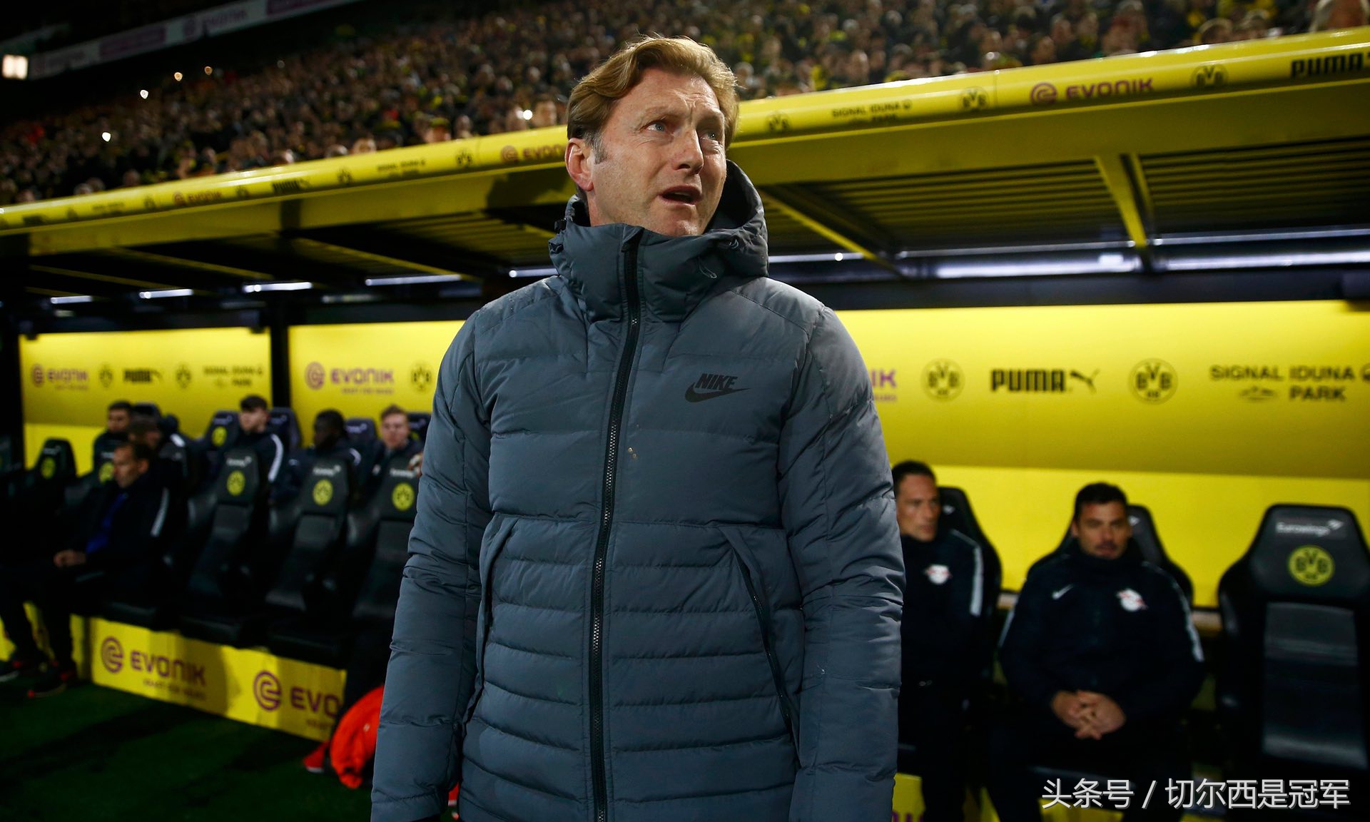 莱比锡红牛比赛深度解析,莱比锡红牛历史比分