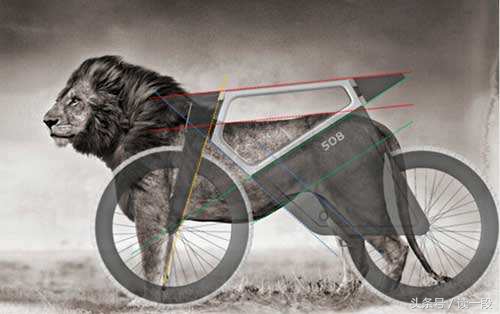 在眼镜被发明之前眼镜蛇叫什么呢,眼镜没发明出来前眼镜蛇叫什么