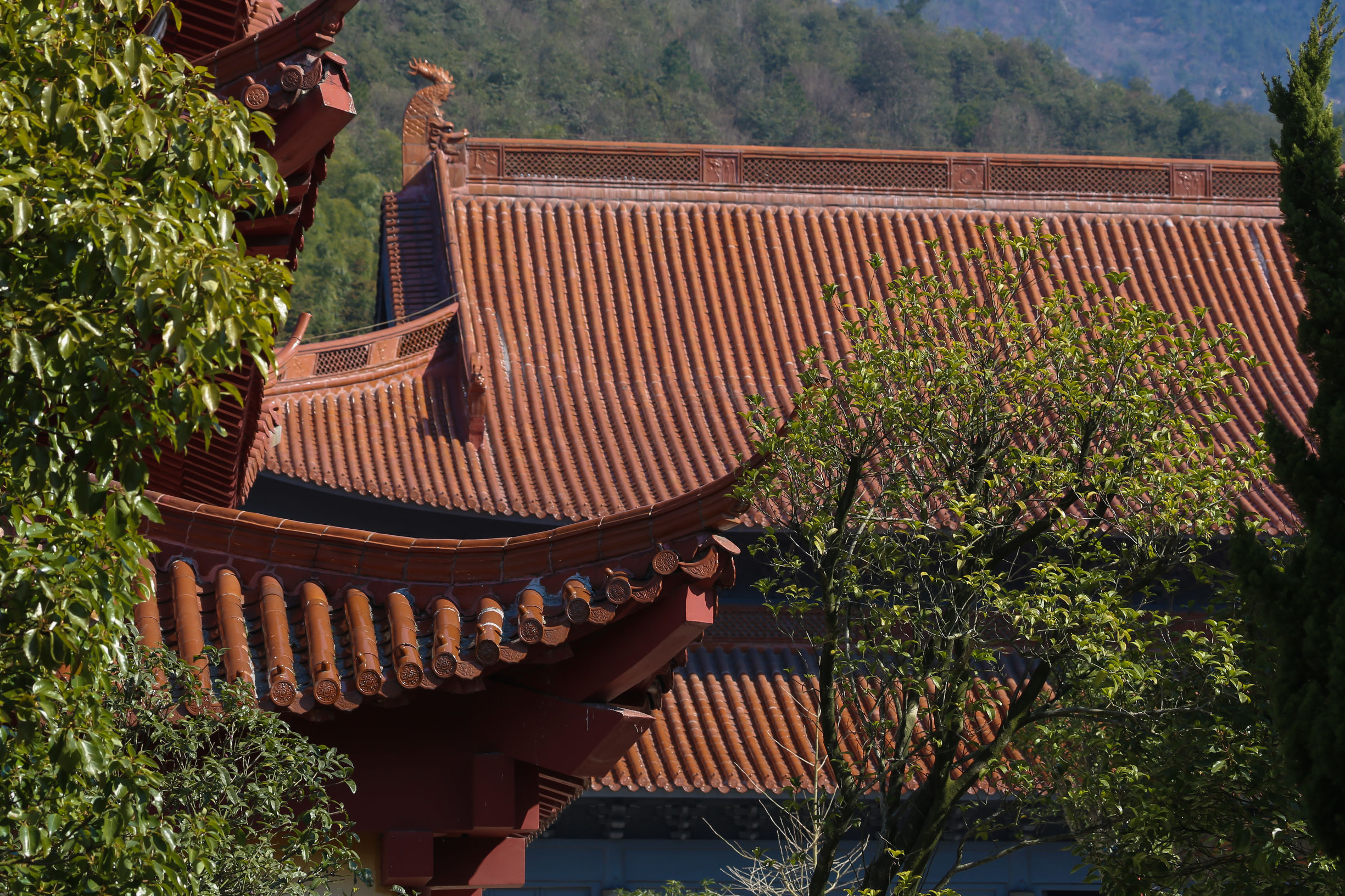 香港香火最旺的黄大仙庙,香港黄大仙庙为什么香火鼎盛