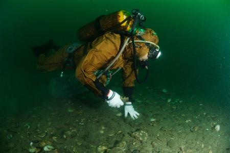 海参如何辨别生长年限,海参的生长年限和营养价值