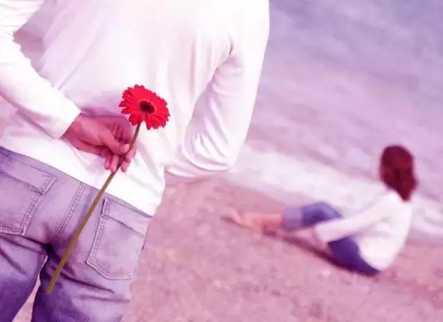 种下了一粒小小的种子收获了什么,种下一颗种子收获一份希望