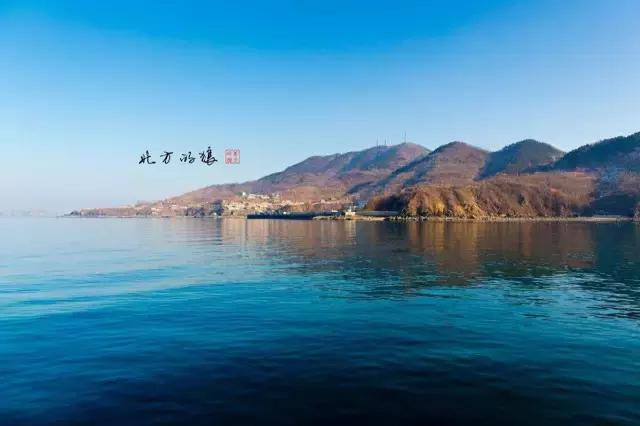 澶ц繛涓栦簨娌ф,澶ц繛鑺濇牴鑺濆簳