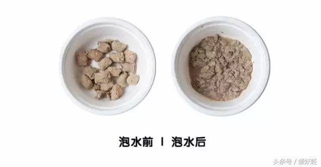 世界十大冻干粮排名,哪个牌子的冻干粮好