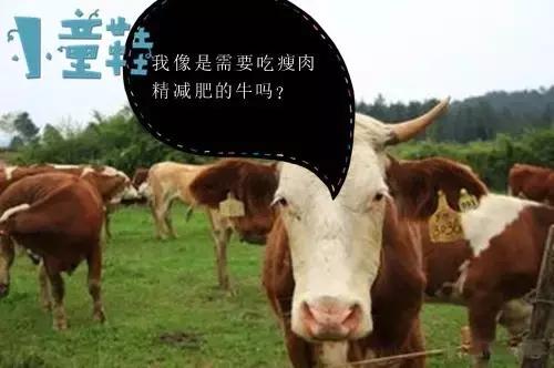 我和小伙伴们都惊呆了，新西兰牛肉被检测出瘦肉精？！