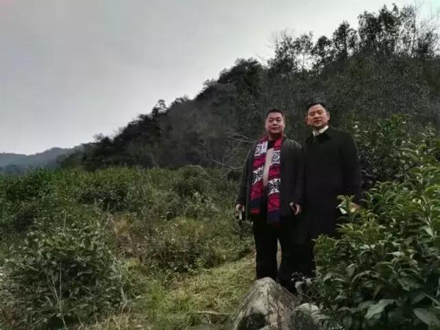 茶产业转型升级的意义,茶产业转型升级的建议