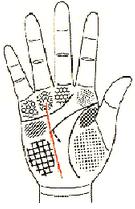 五观堂讲解手相,手相宝库第四讲