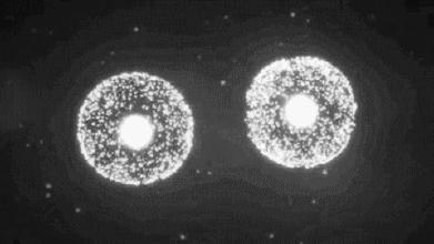50项医学指标不用问医生,医学必背指标