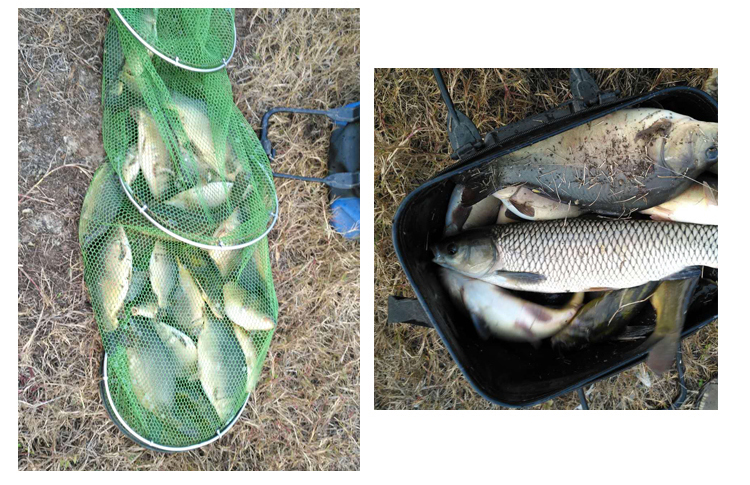 空钩悟道－禅隐超轻鱼竿