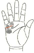 五观堂讲解手相,手相宝库第四讲